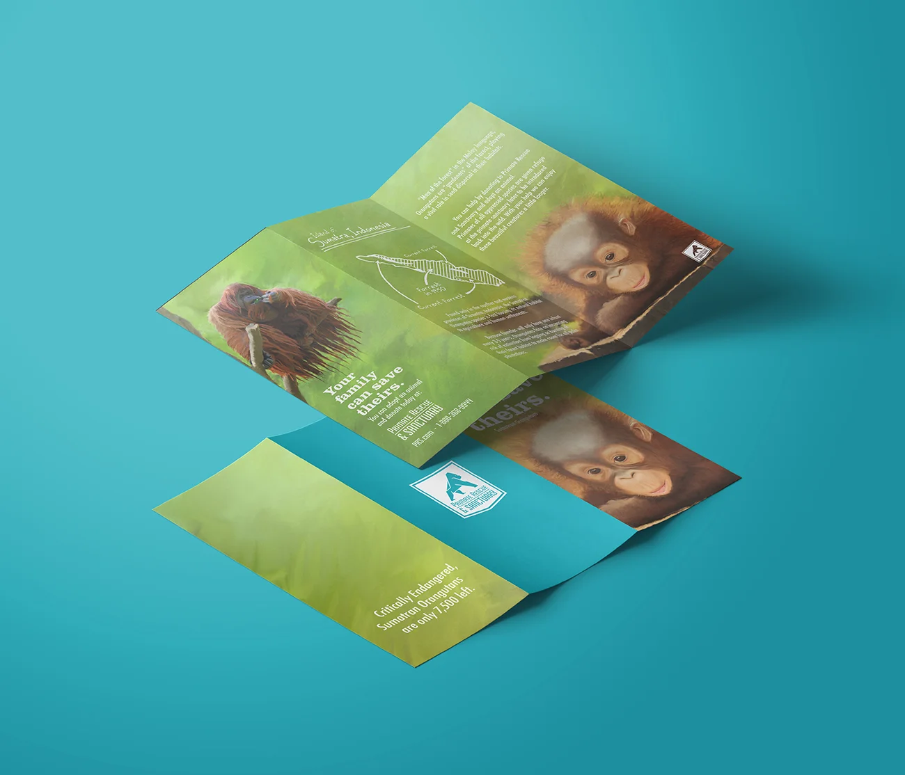 orangutan brochure mock up for web.jpg