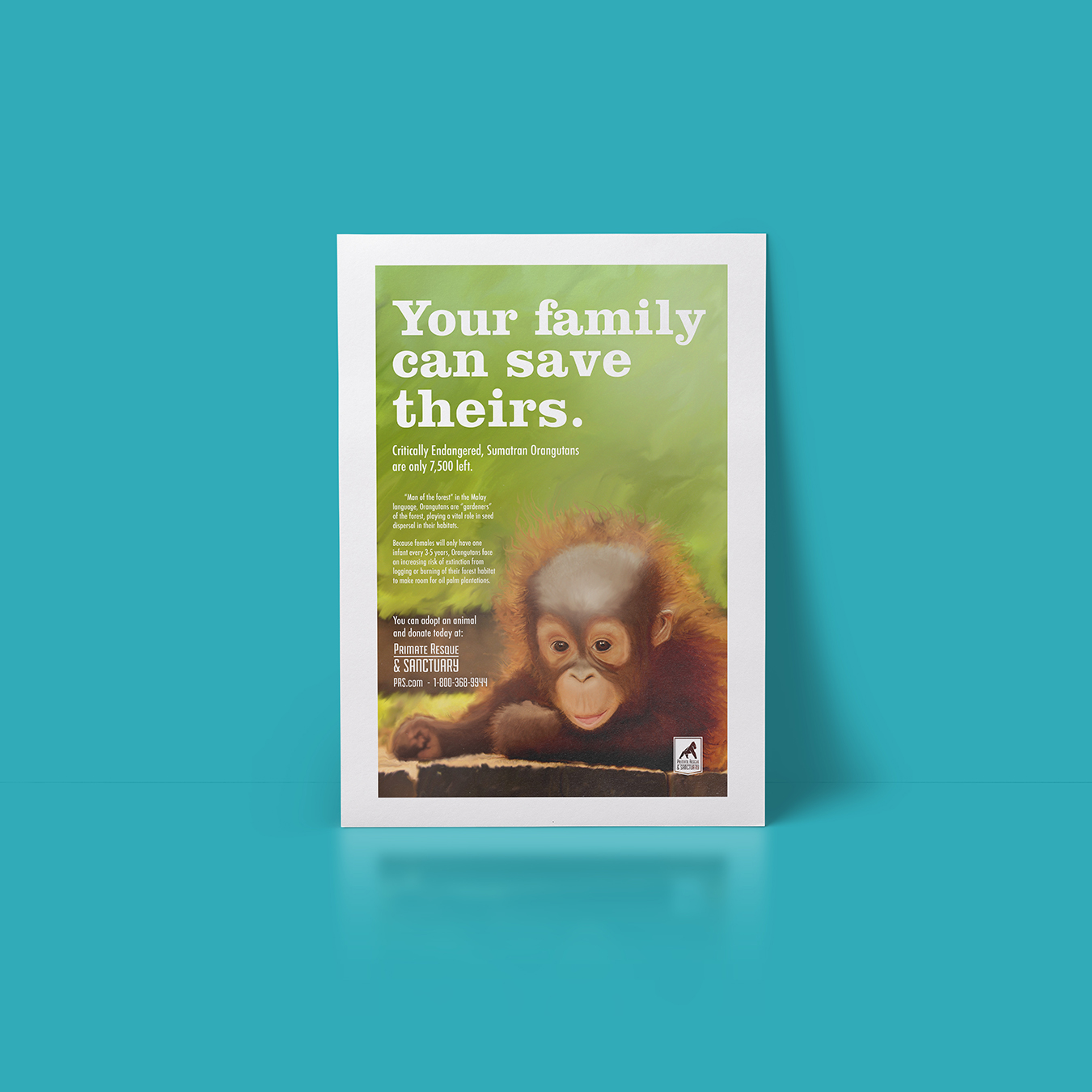 orangutan poster mock up for web.jpg