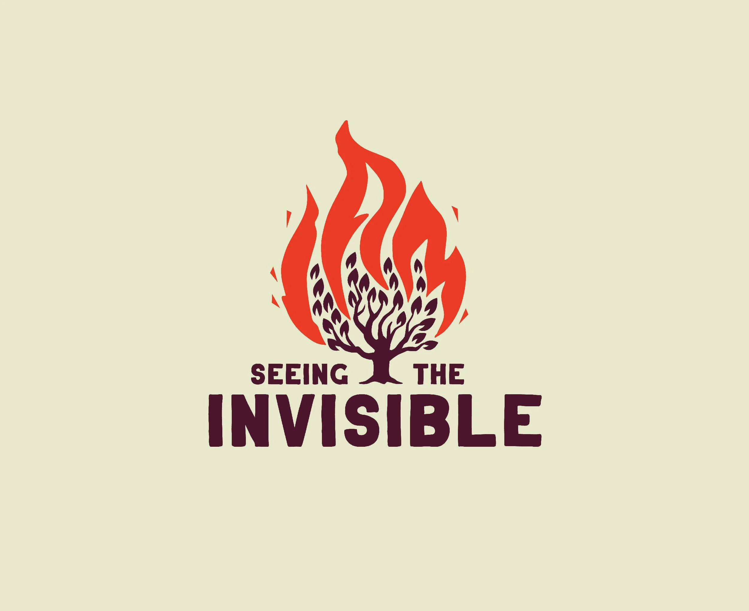Seeing the Invisable for web-01.jpg