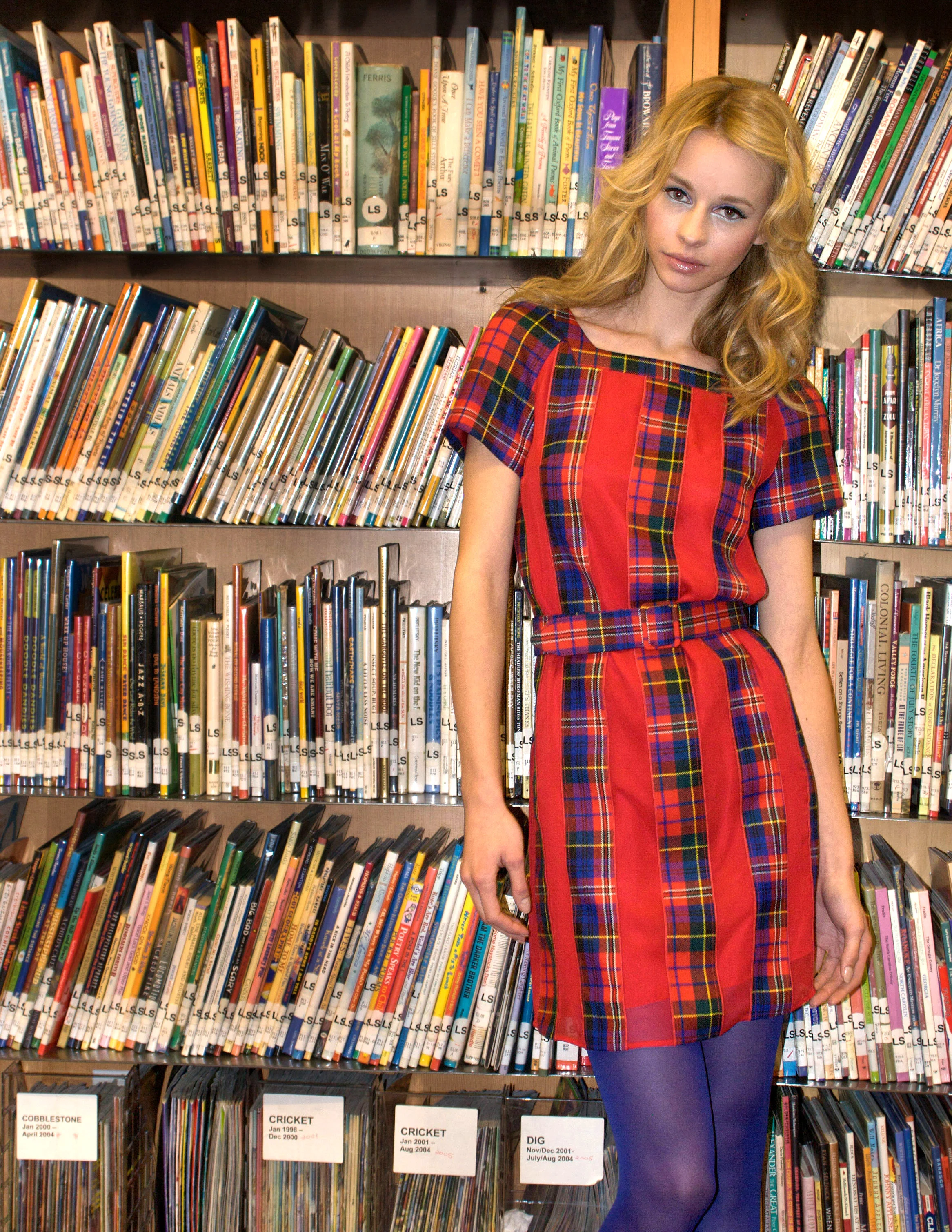 TartanChiffonStripeDress_Final copy.jpg