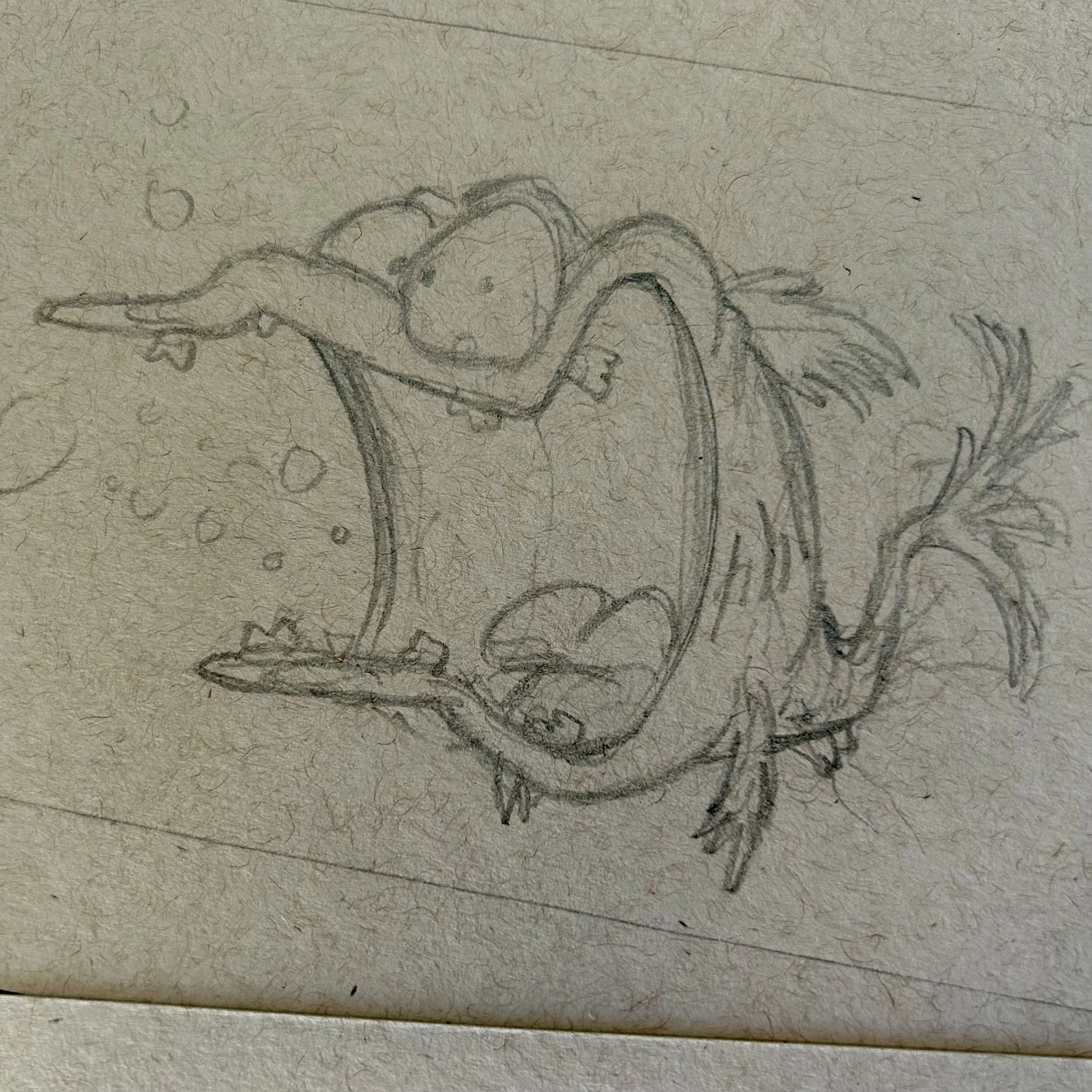 robin crossman fish sketch 03.jpeg