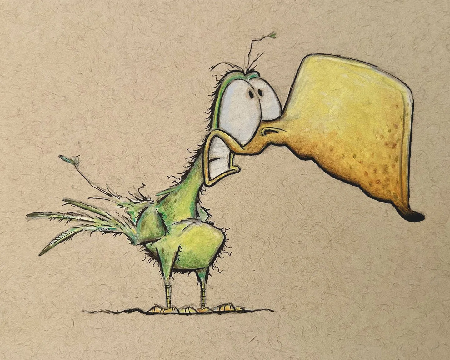 parrot robin crossman.jpg