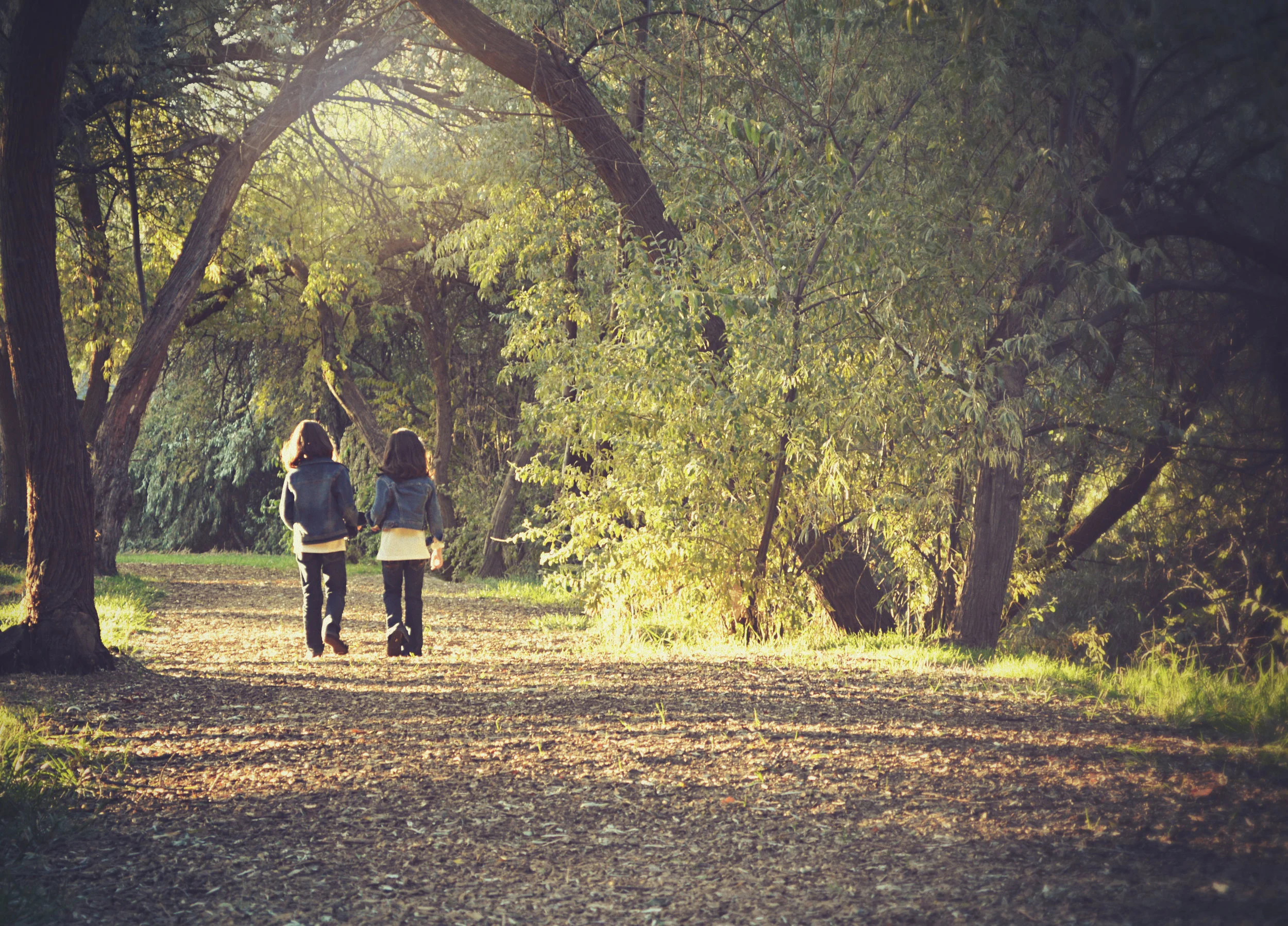 Dear Supportive Surrogate - Are My Kids too Young to Understand Surrogacy?