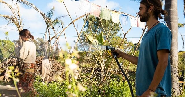***ENDEAVOR*** ⁠
*The joys of a new endeavor are pulsating in us. Within the last few months, we have begun to create and cultivate an herbal and veggie farm. ***⁠
* Our vision is to create a community space, where medicinal herbs and nutritive food 
