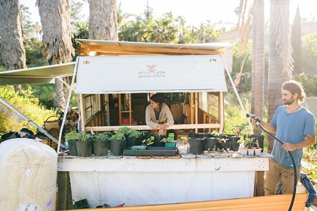 ***FLEXIBILITY***⁠
⁠
* Flexibility takes SO many forms. This photograph features our tiny home in construction due to the presence of some troubling mold. All of our material items are living on our porch, we are sleeping in my healing tent, and ther