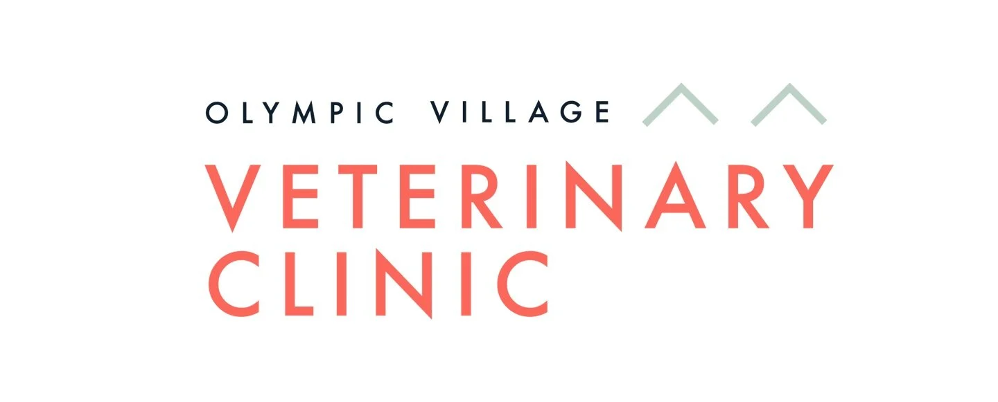 Olympic Village Vet Clinic