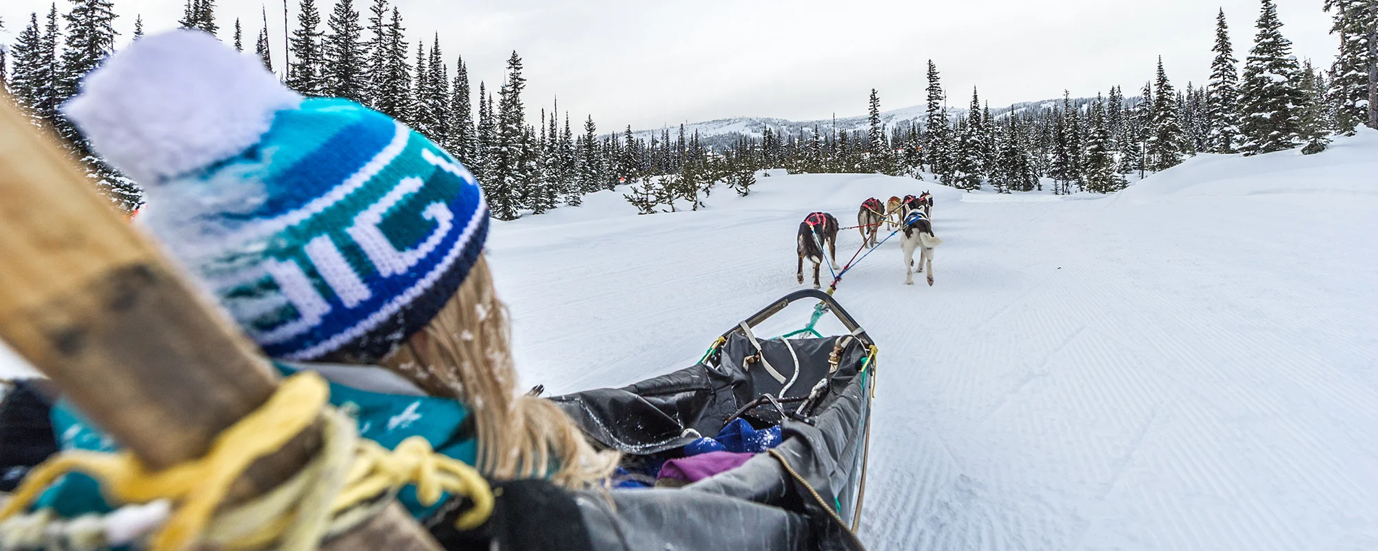 Winter-Activities-Dog-Sledding-2000x800px_0.jpg