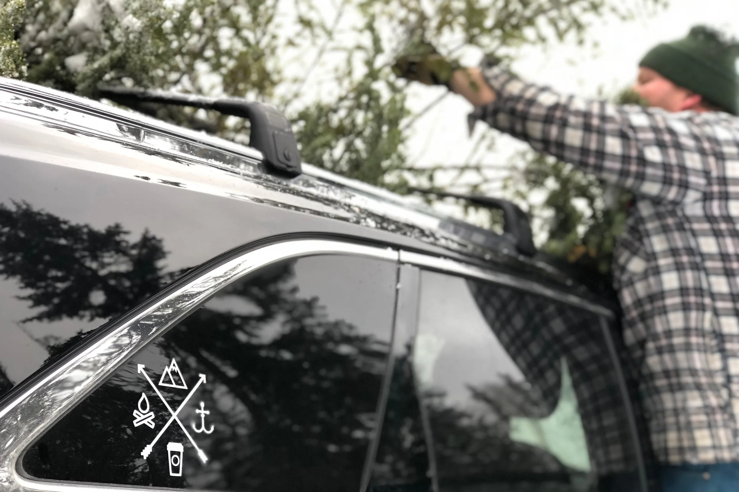 Cutting Down Your Own Tree: Everything You Need to Know 