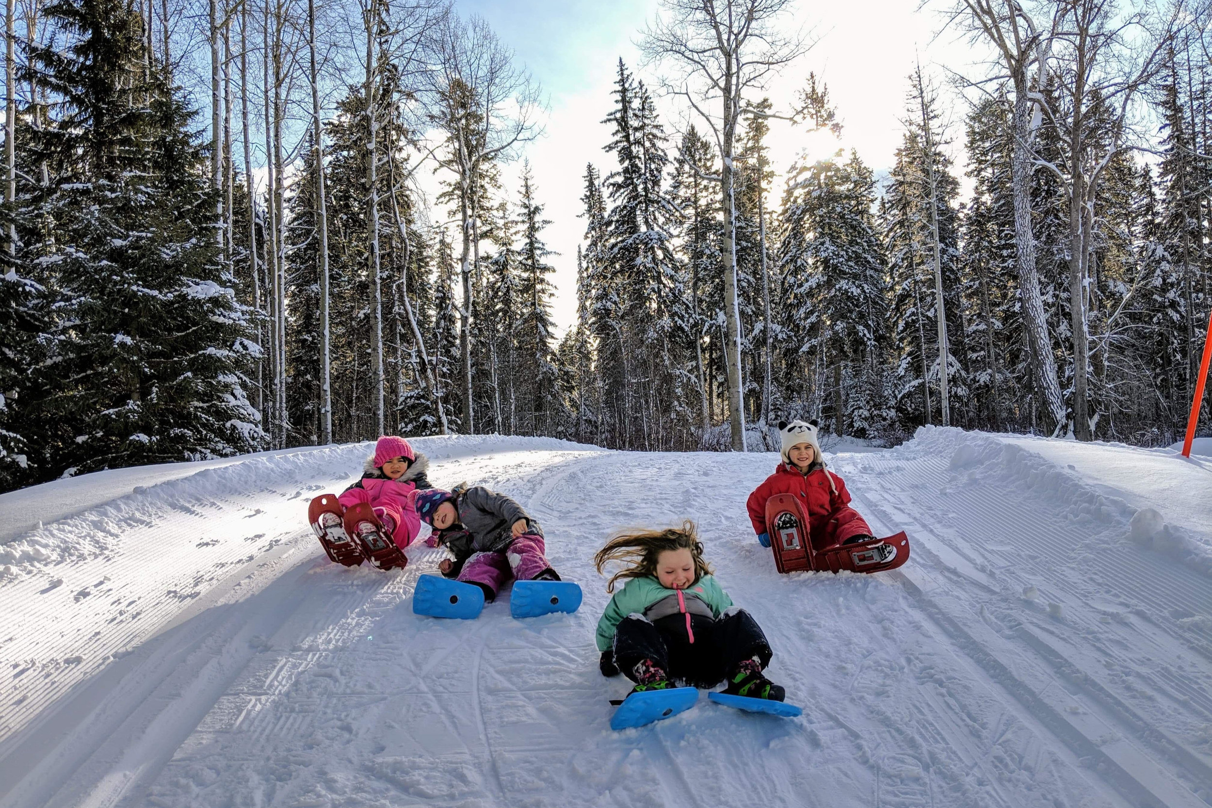 Everything You Need to Know About Telemark 