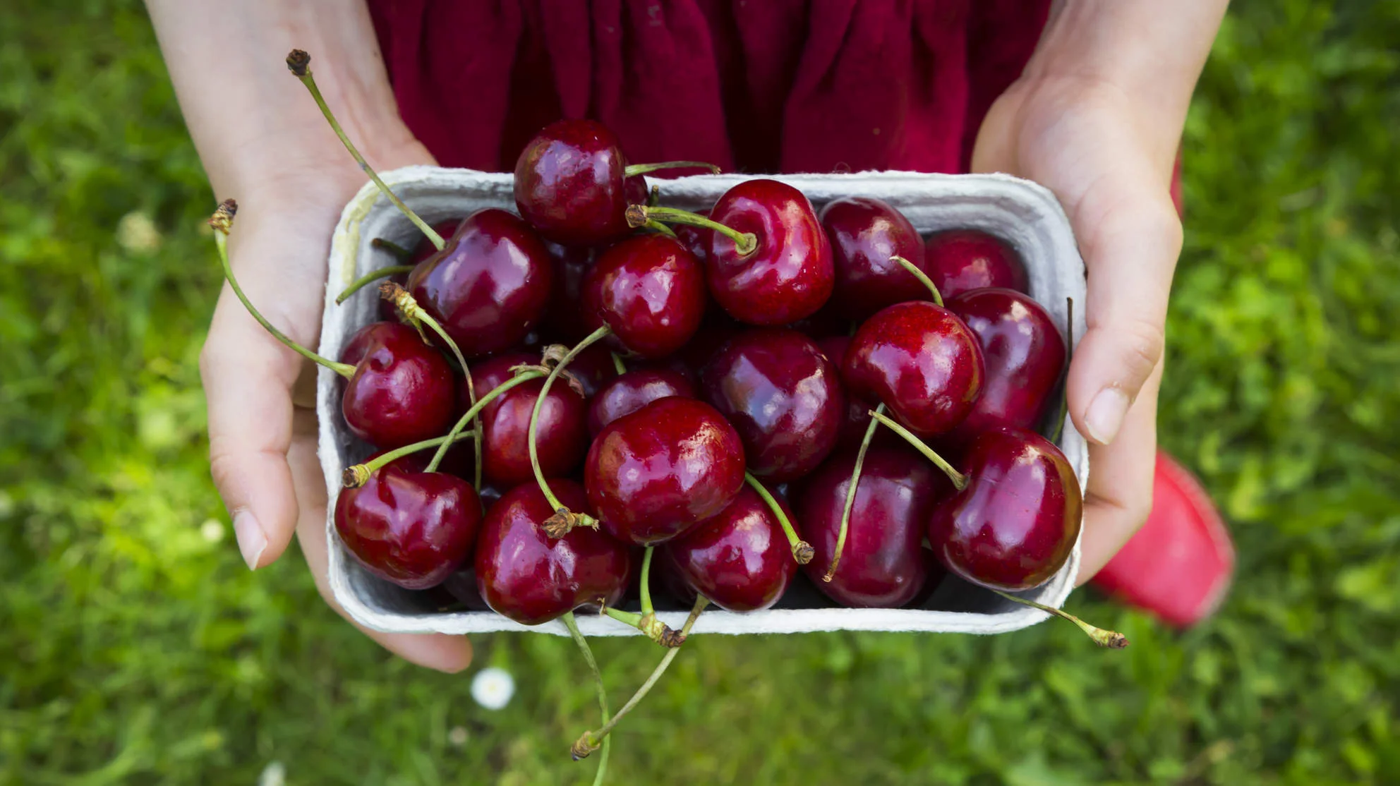 cherries-healthy-food-GettyImages-748342321.jpg