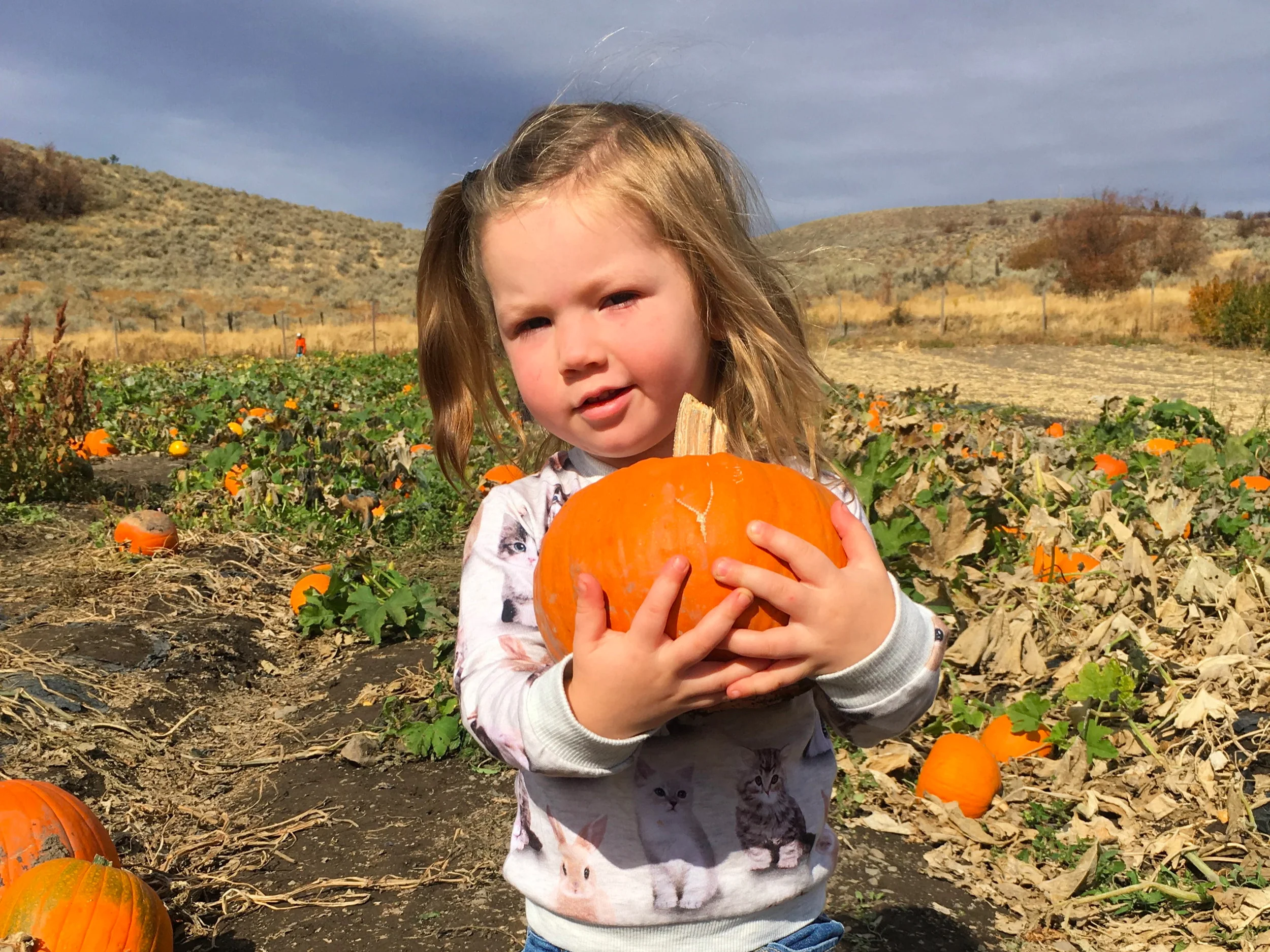 Pumpkin1.jpg