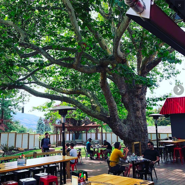 Screen Shot 2019-10-11 at 9.19.11 PM.png