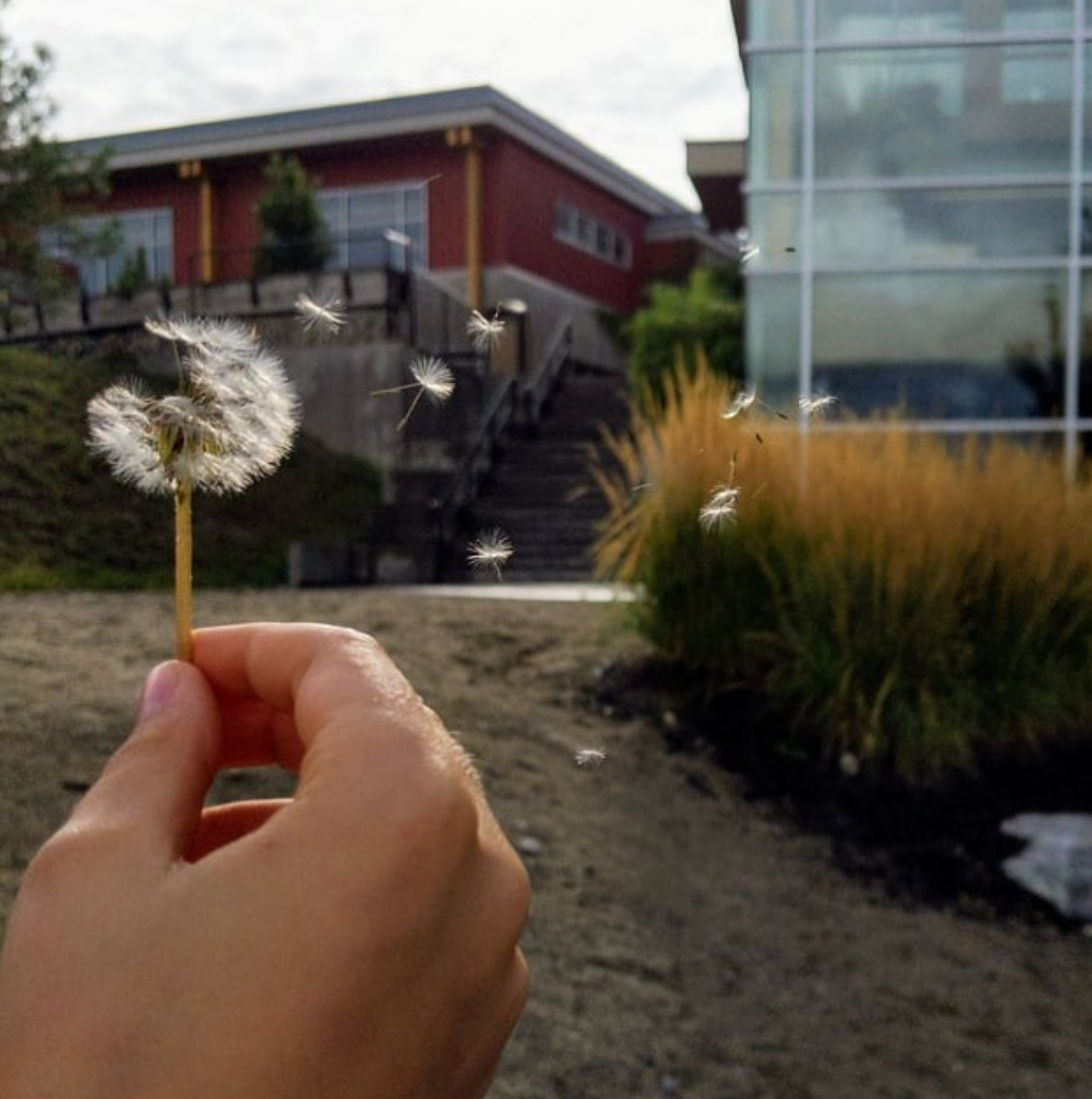 Screen Shot 2020-02-05 at 11.50.11 AM.png