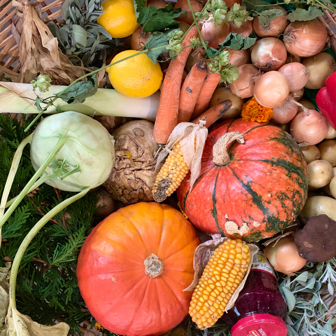 Untitled design-13.png