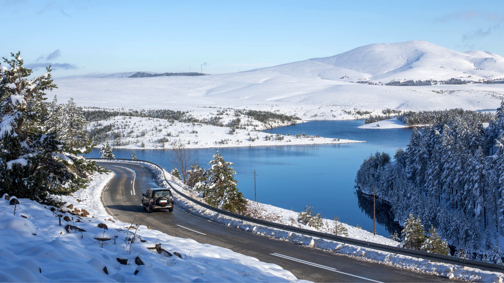 Untitled design (32).png