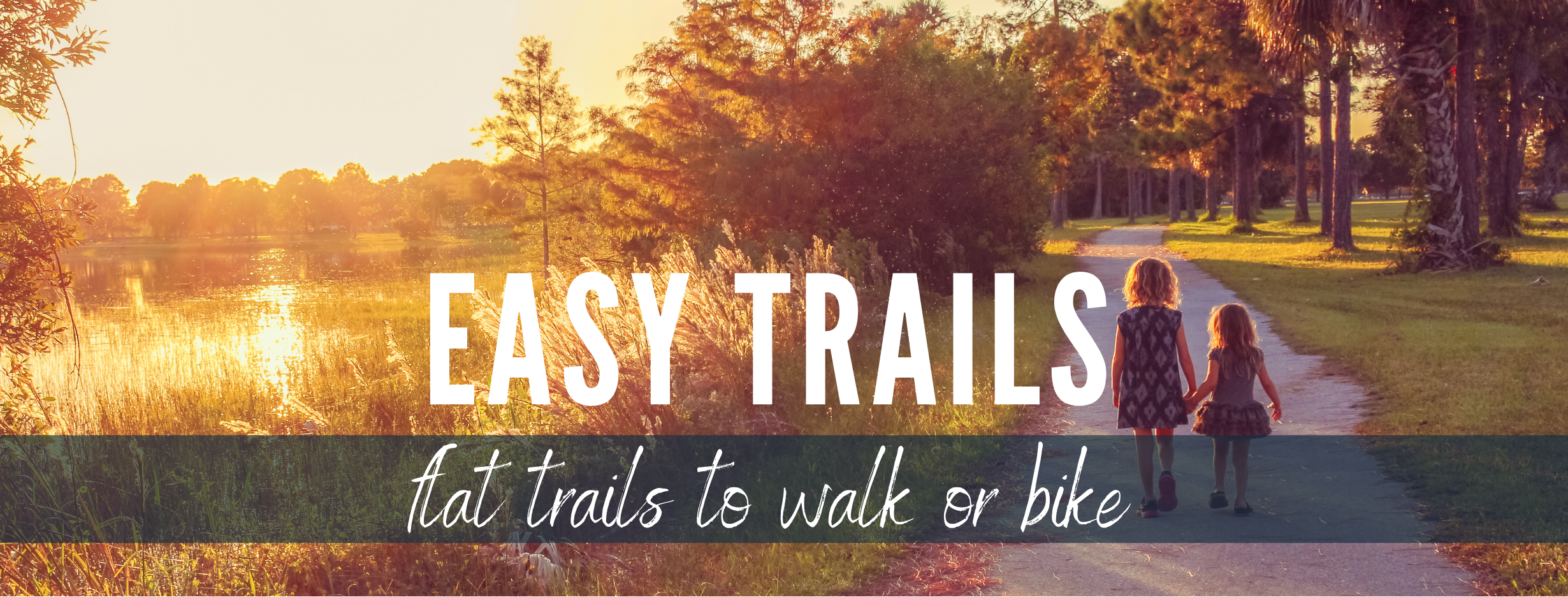 Copy of monthly guide header.png