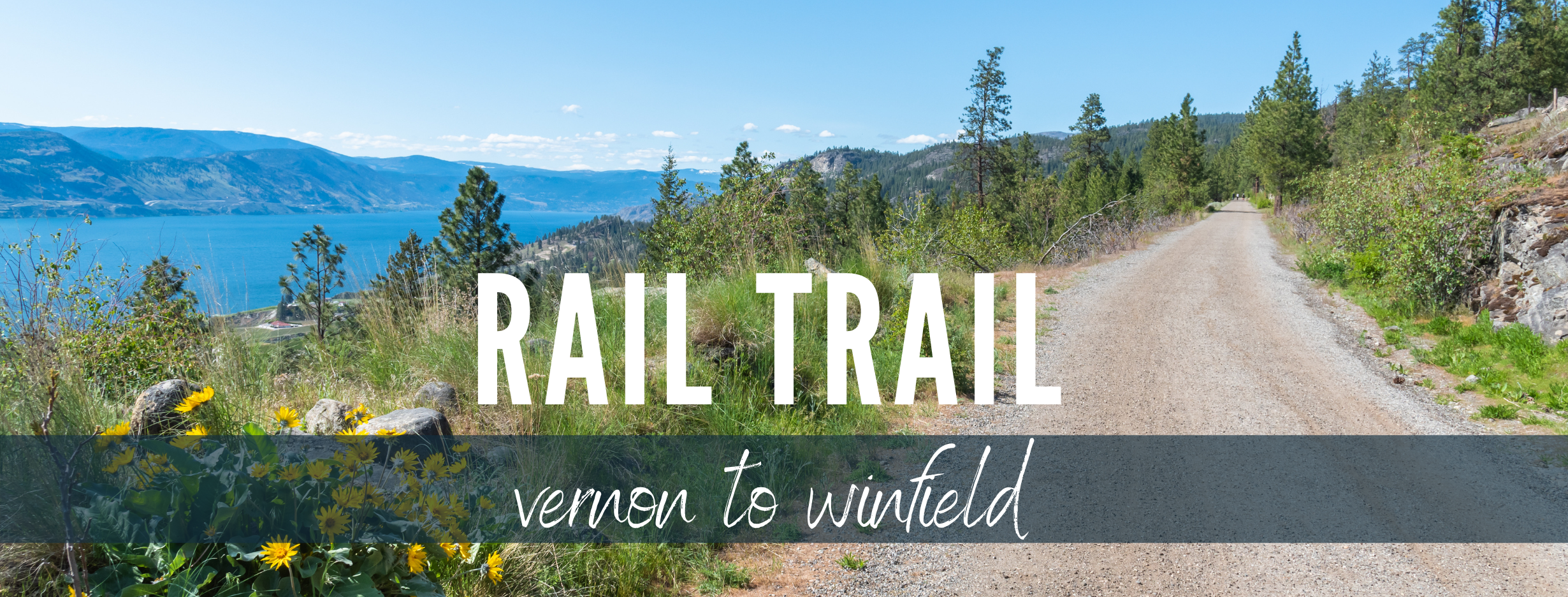 Copy of monthly guide header-7.png