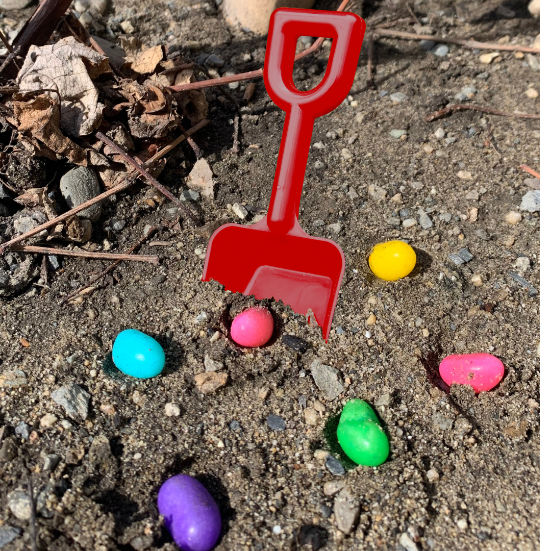 Untitled design - 2021-03-30T154452.466.png