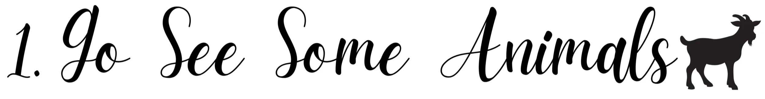 Go See Some Animals.png