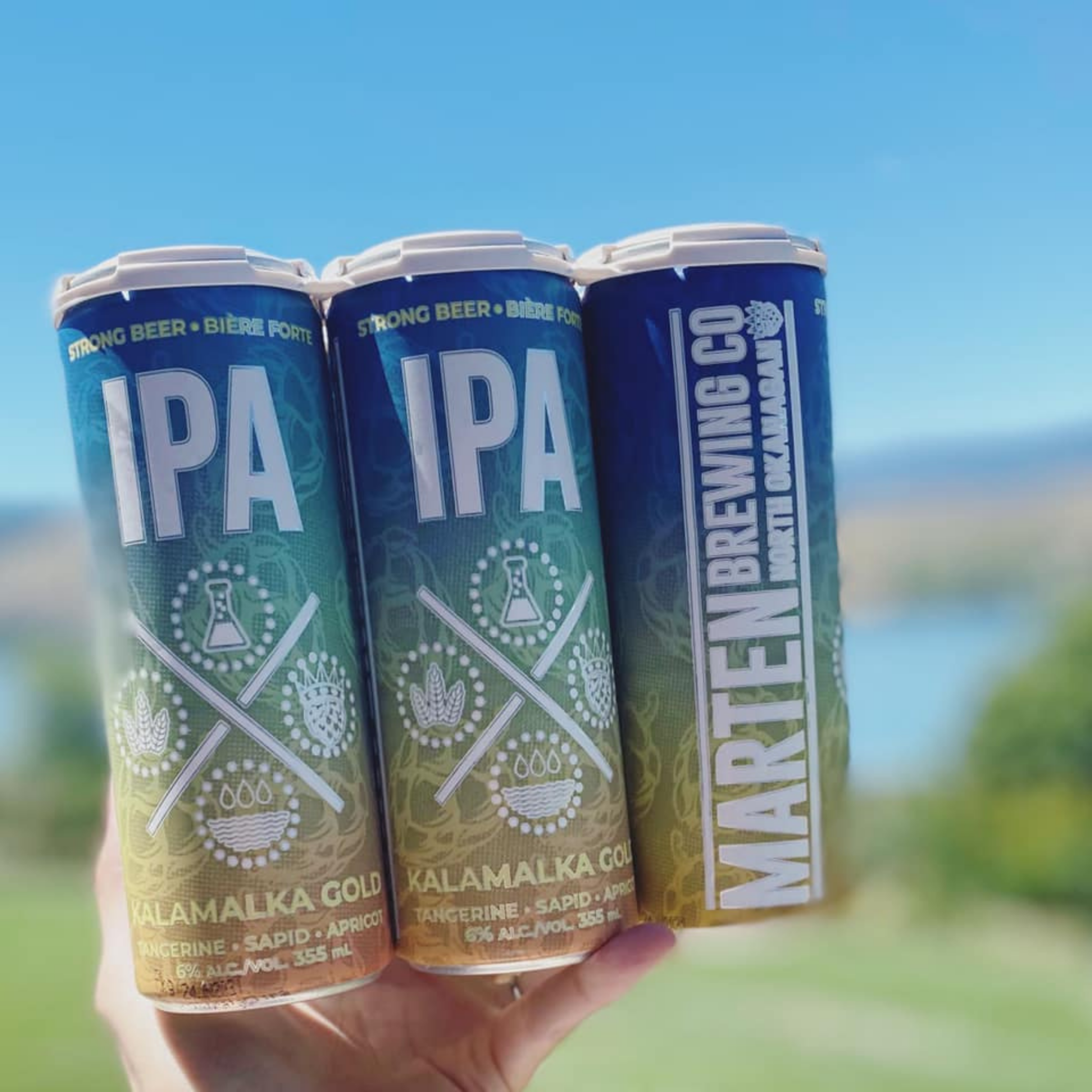 Notes of Mandarin Orange and Okanagan Peach accompany this pale fruity IPA. Flavours of our local orchards such as nectarine and sour peach stand out with a slight bitterness in the finish.Visit their website.