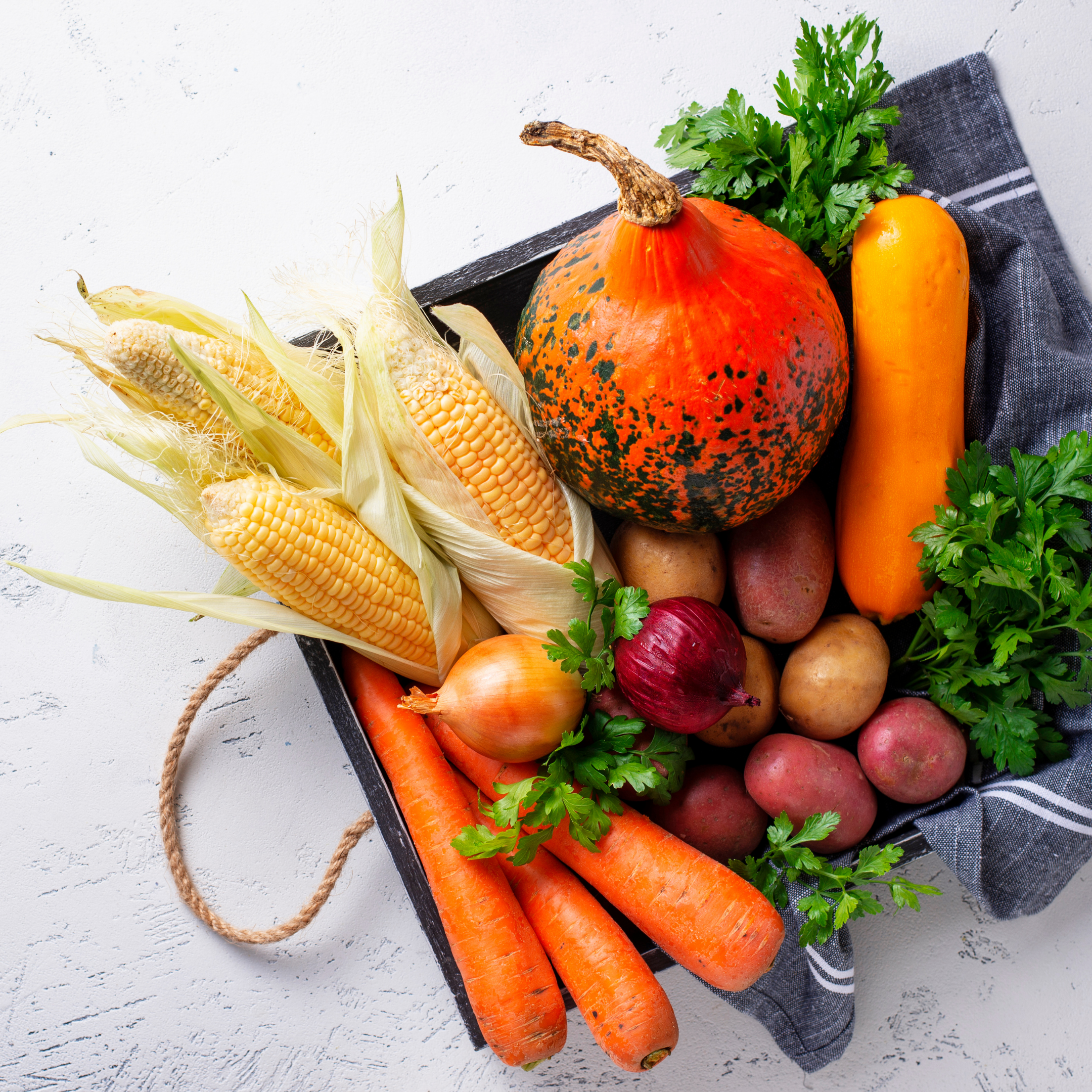 Untitled design-87.png