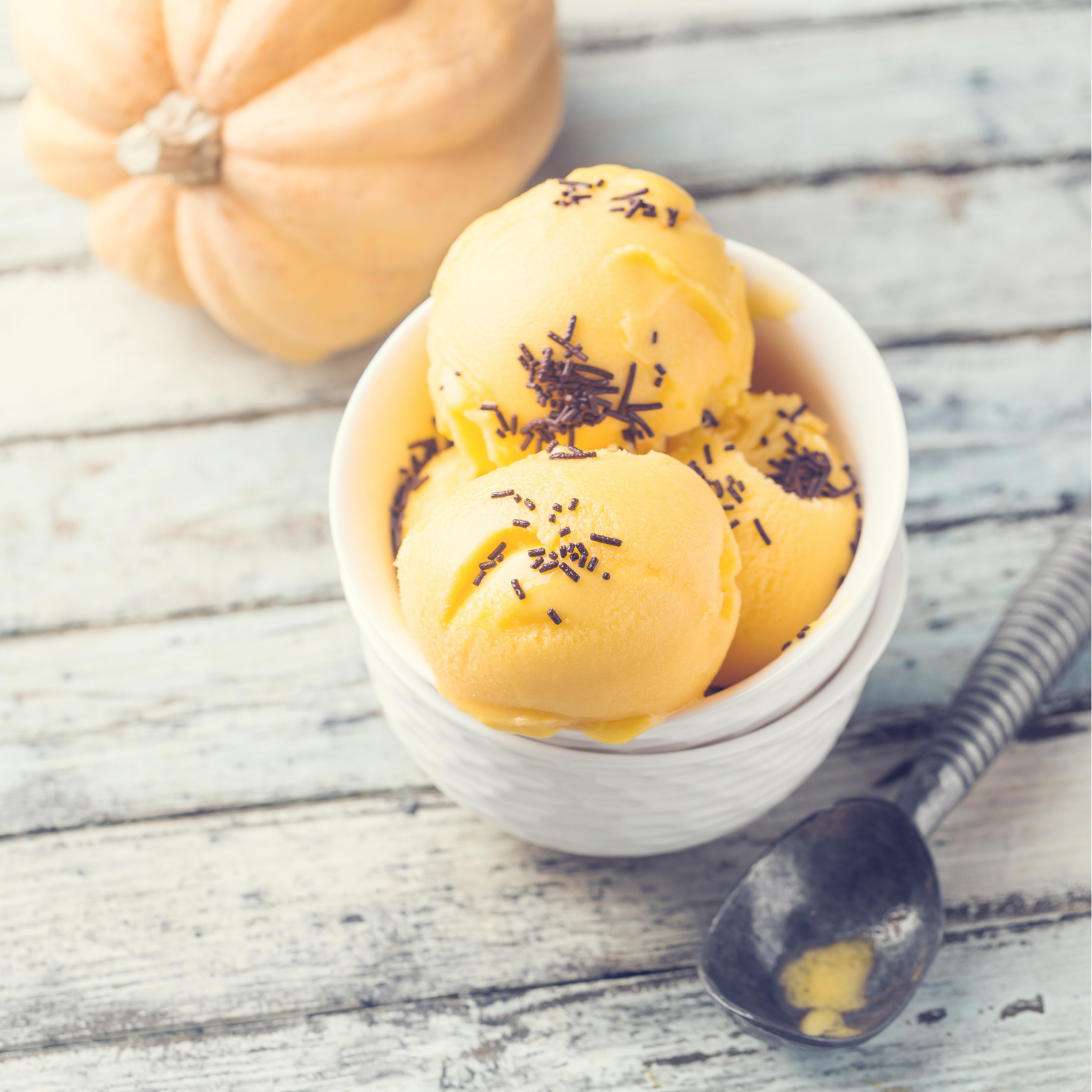 Untitled design-90.png