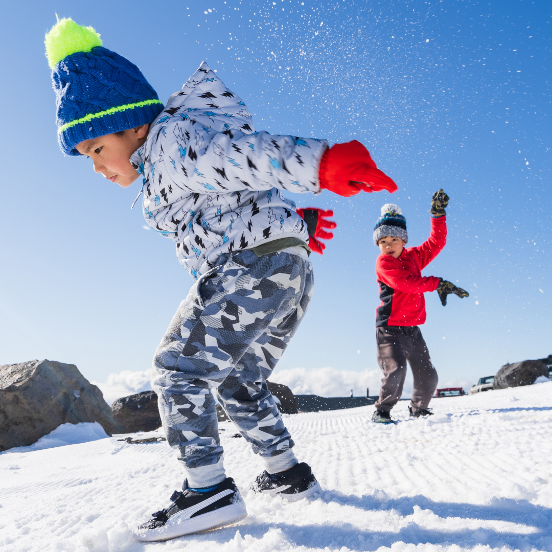 Untitled design (18).png