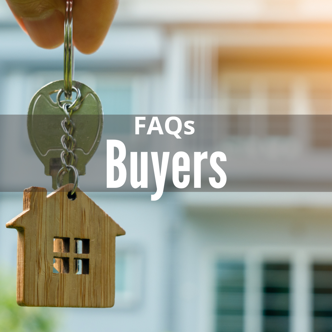 Copy of Home page blocks.png