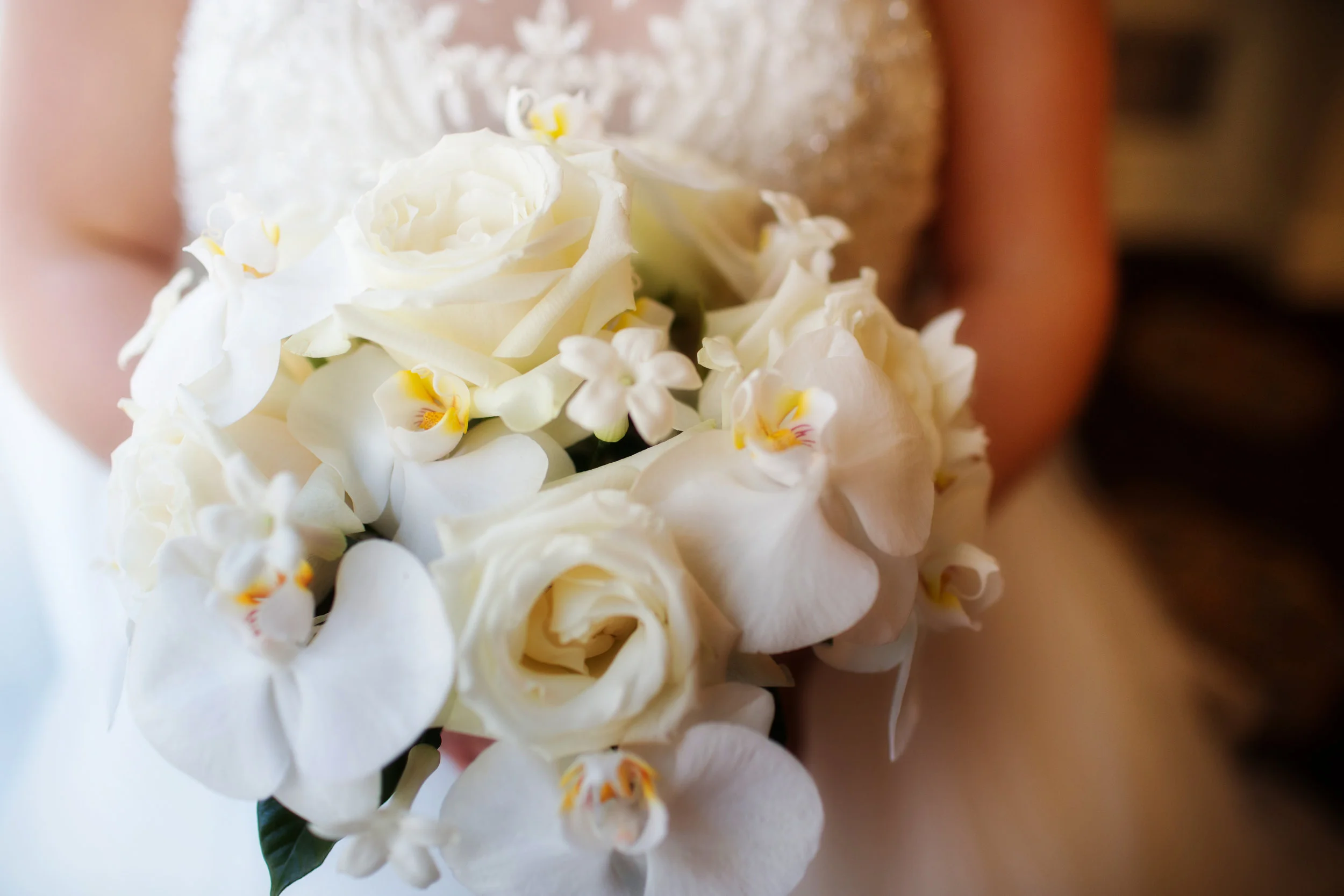 Amy Shepard Photography