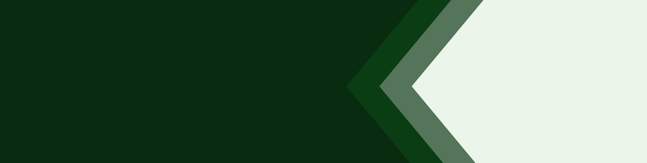IrishFest_WebsiteBanners4.jpg