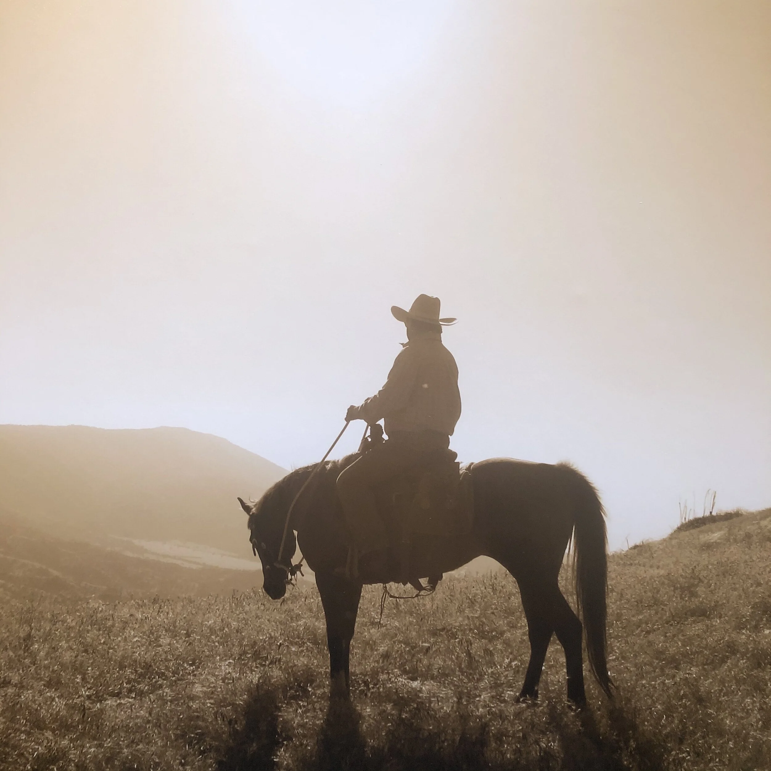 Cowboy.jpg