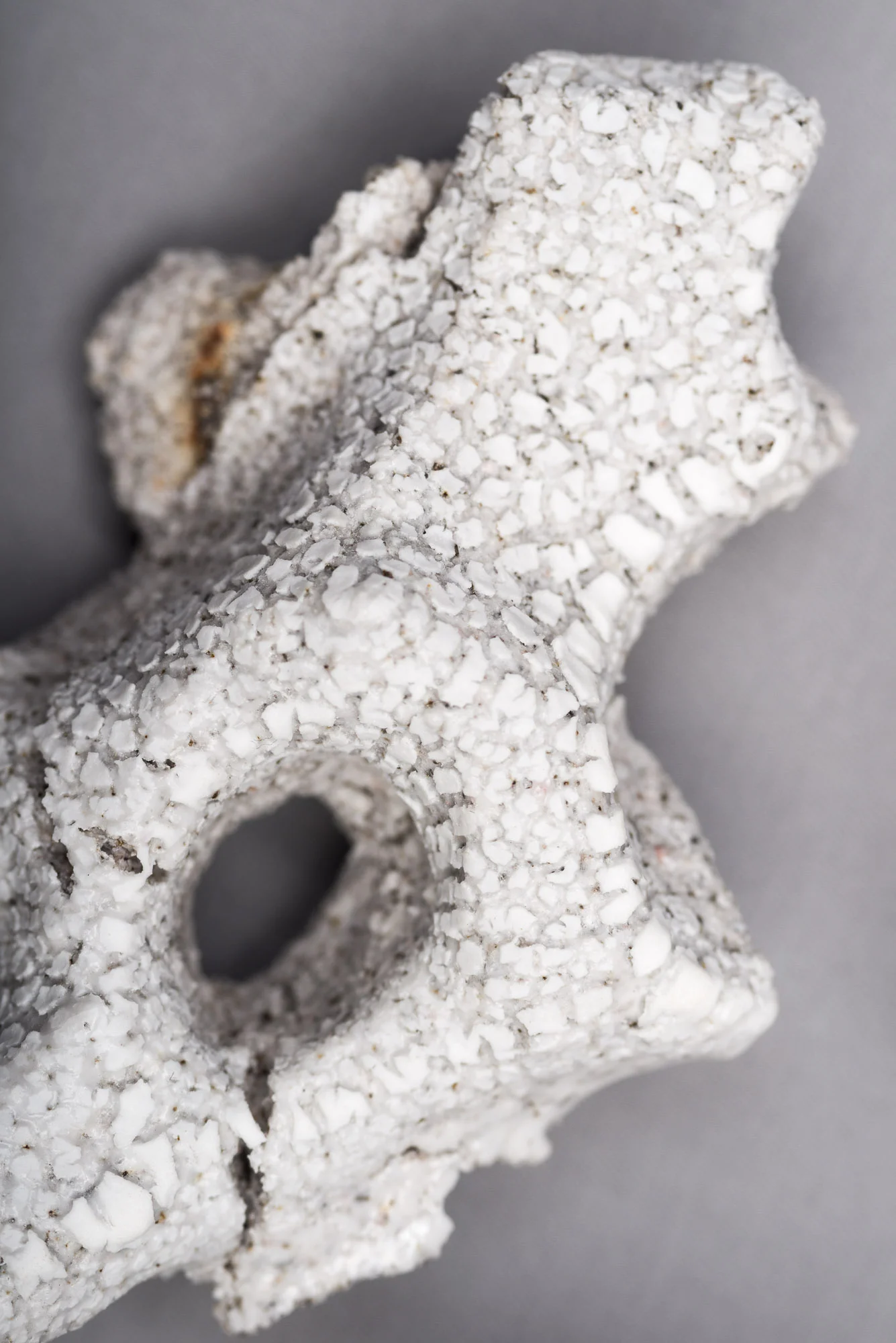 Narelle-White-Ceramics-As-Yet-VIII.jpg