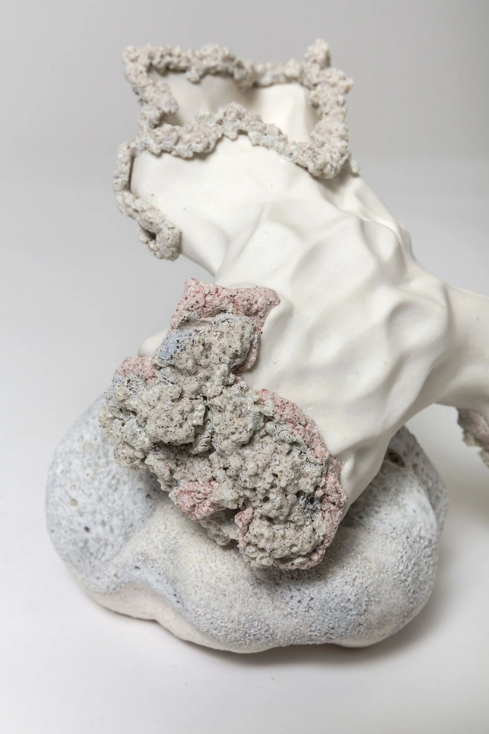 ©narelle-white-artist-ceramic-detailbone-SqSp.jpg