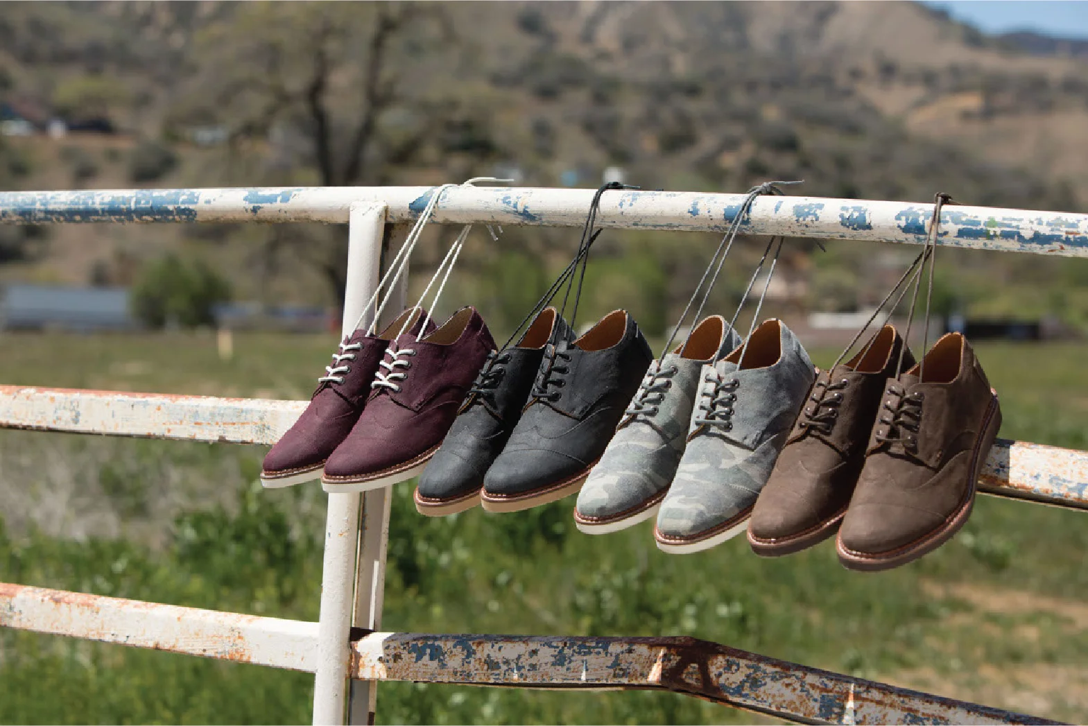 Work_TOMS Brogue-07.jpg