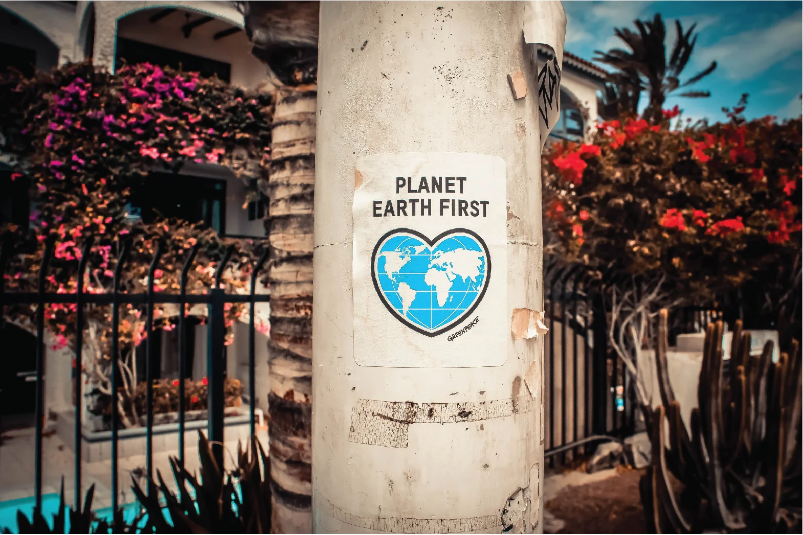 SAVE Straws-03.jpg