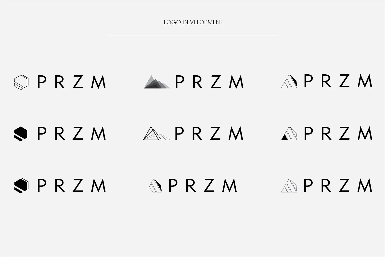 PRZM Logo-04.jpg