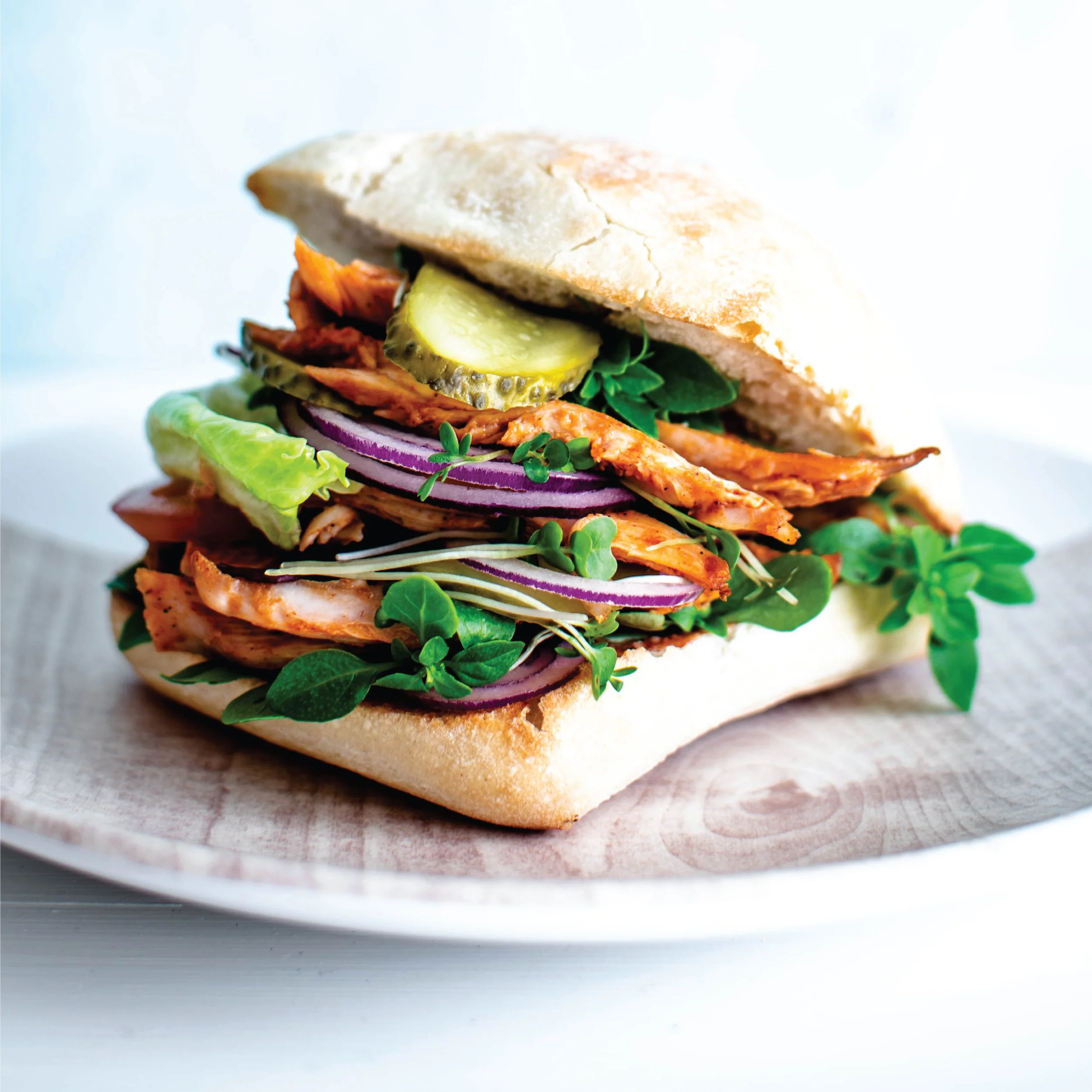 02_Yasuni-Sandwich-Bags-Slides_FINAL.jpg