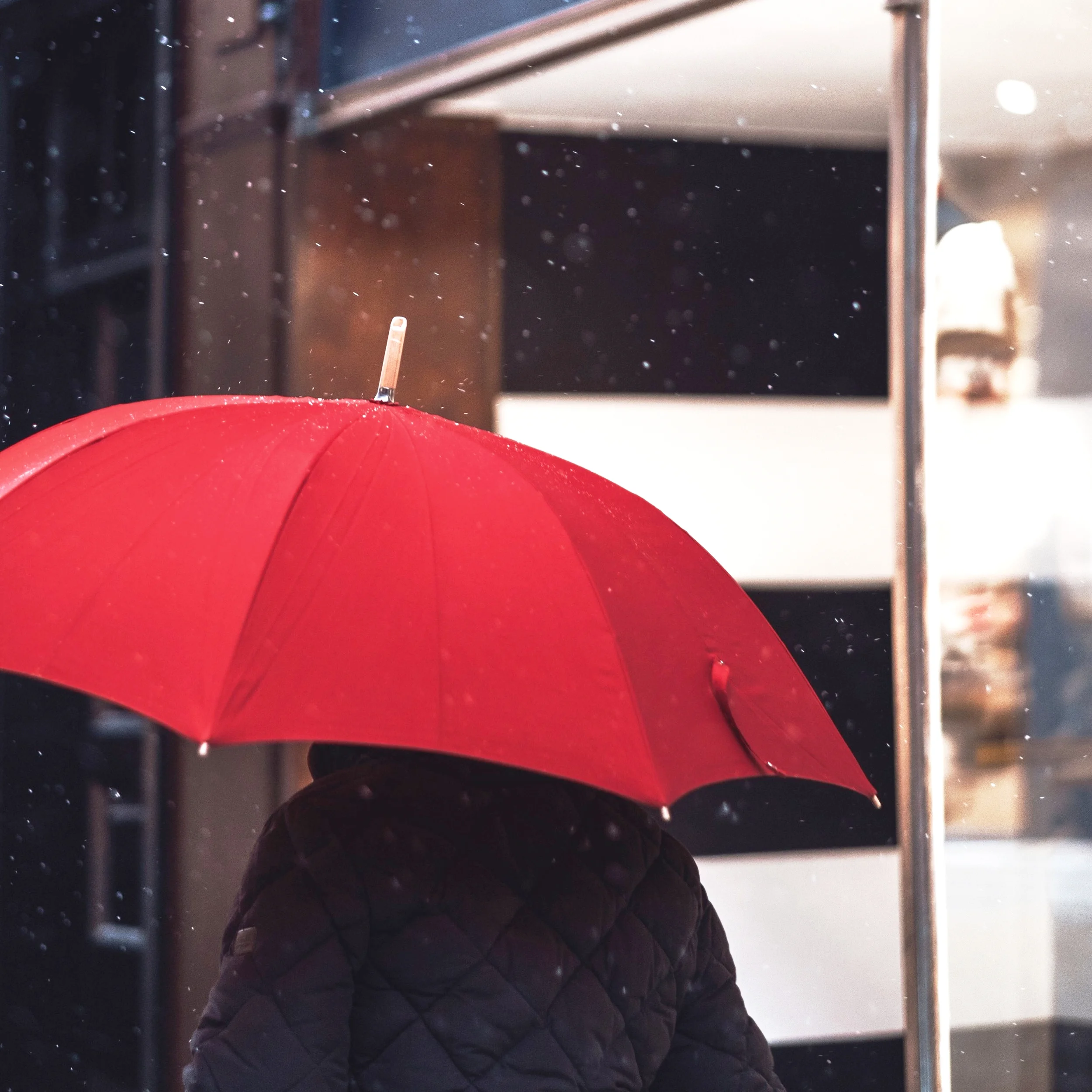 read up on all things insurance. At online INsurance Hub we protect you fast, simply, and effectively.