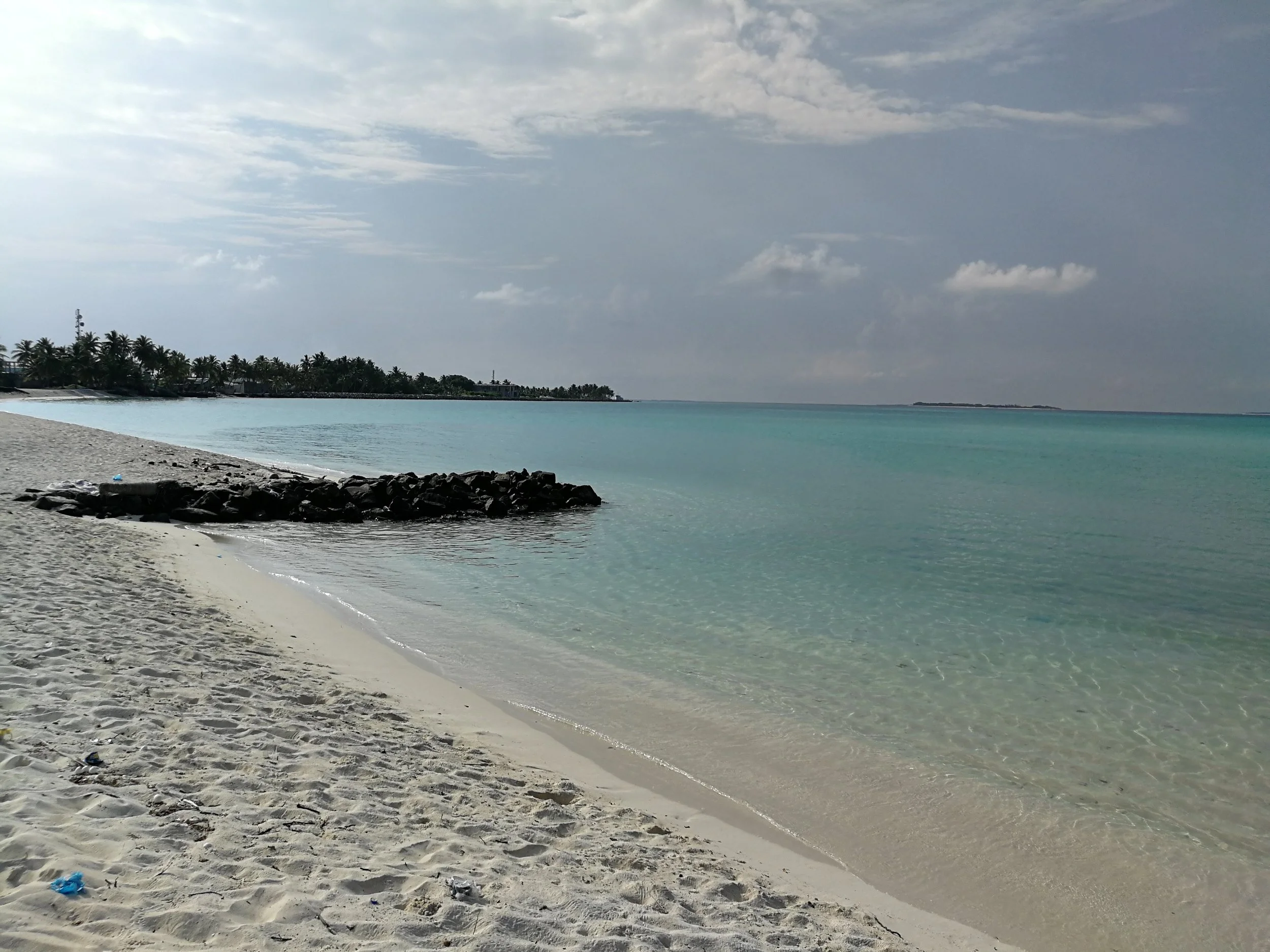 Open Water Swimming Temperature