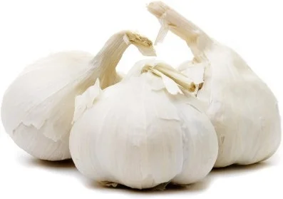 garlic bulbs image3.jpg