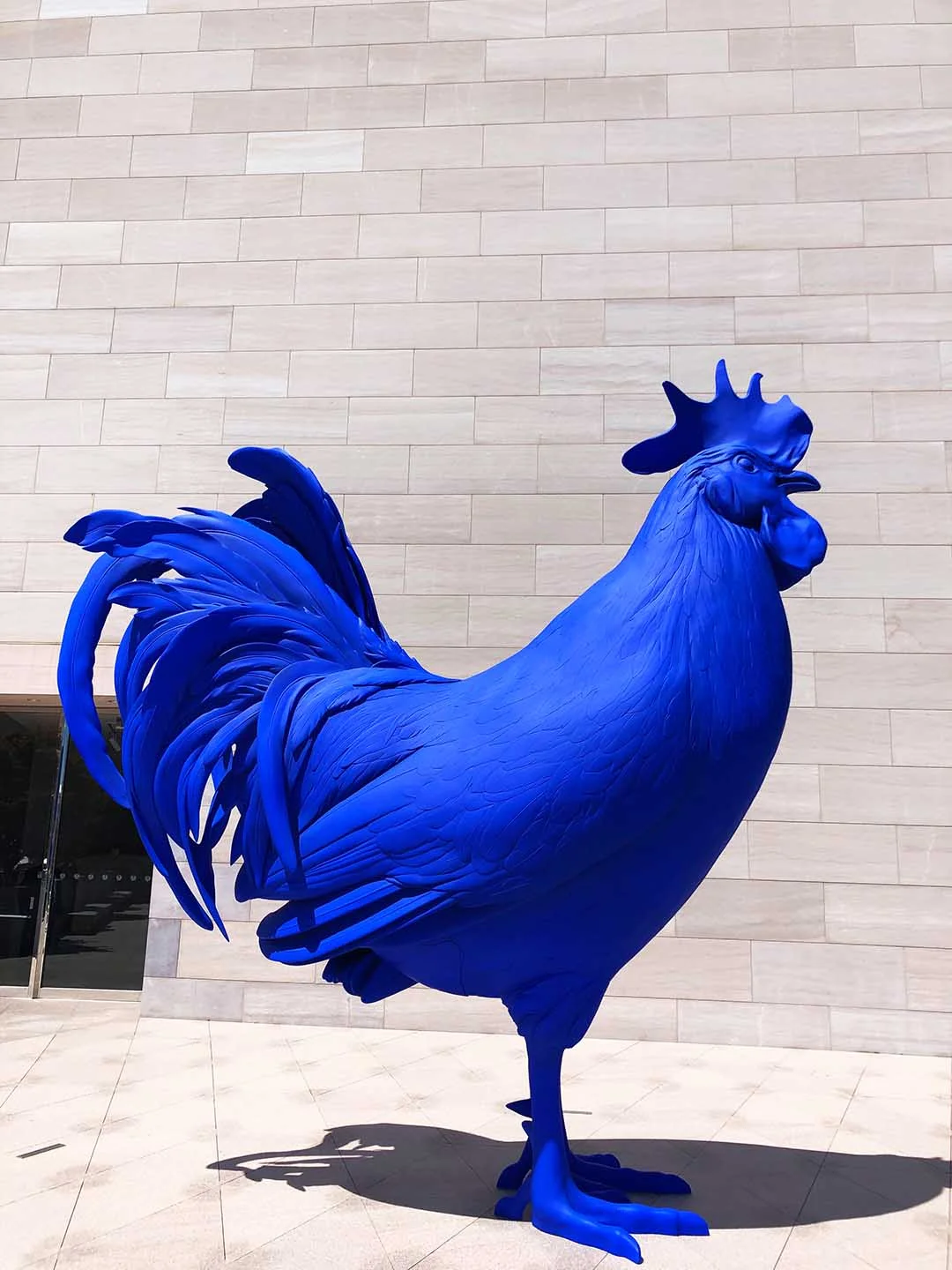 cock.jpg