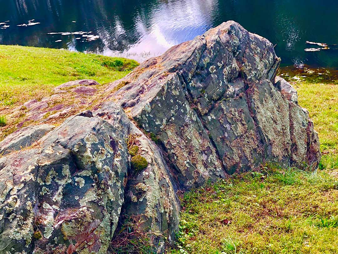 nature02.jpg