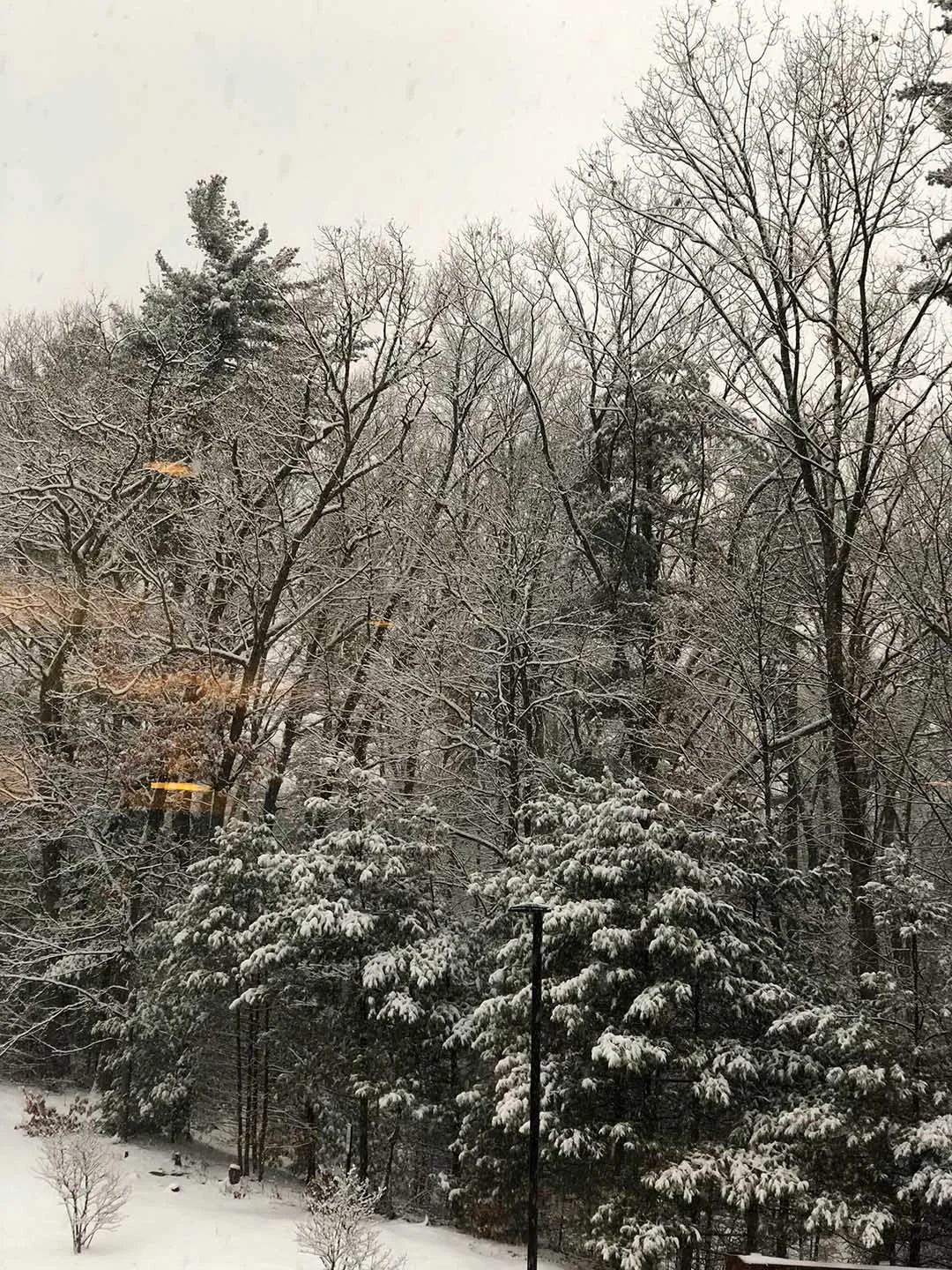winter04.jpg