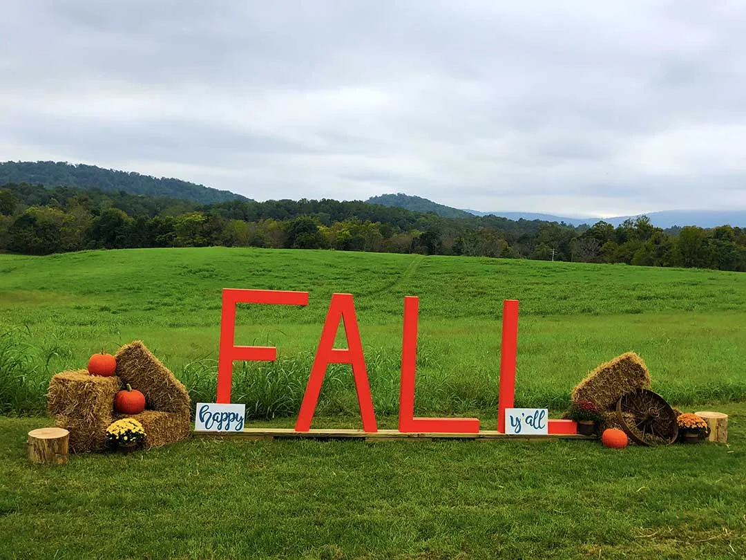 fall03.jpg