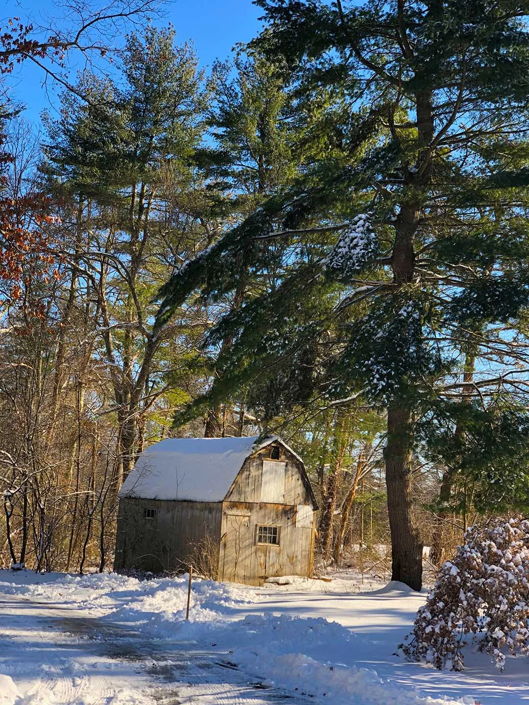 winter06.jpg