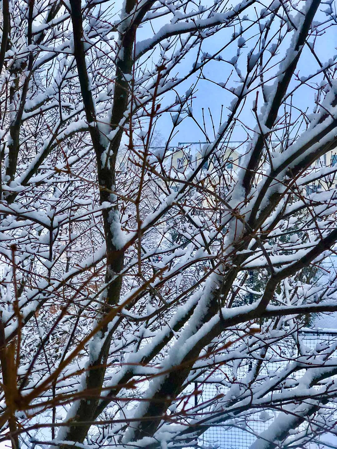 winter03.jpg