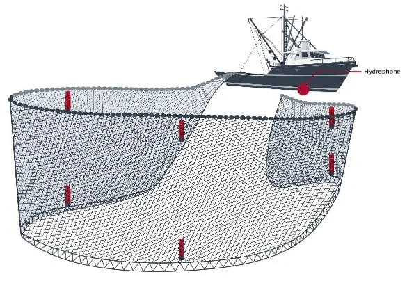 Depth Sensor
