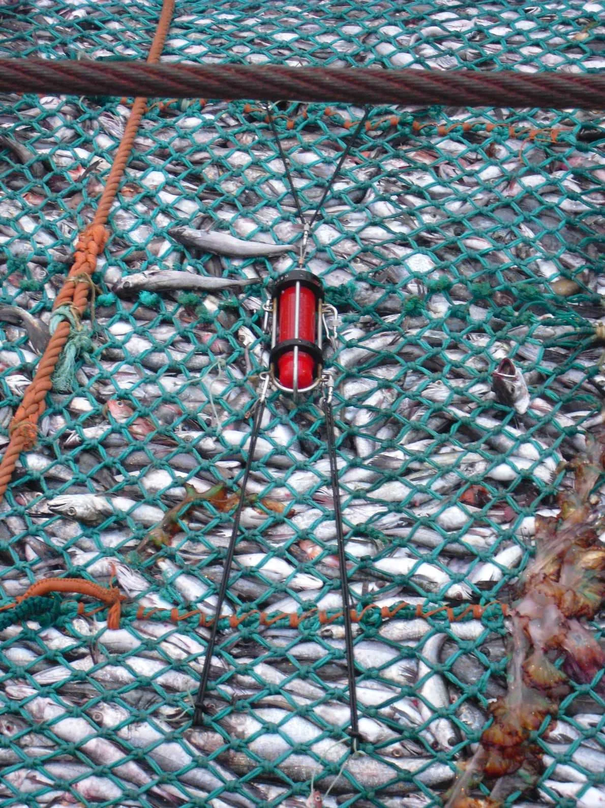 Notus Trawlmaster Catch Sensor