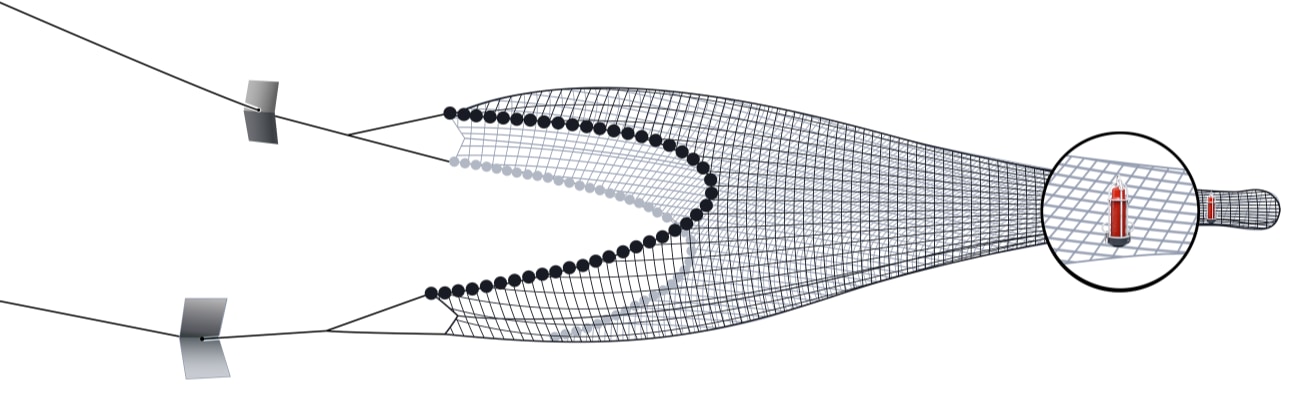 (Pictured) Catch Sensor