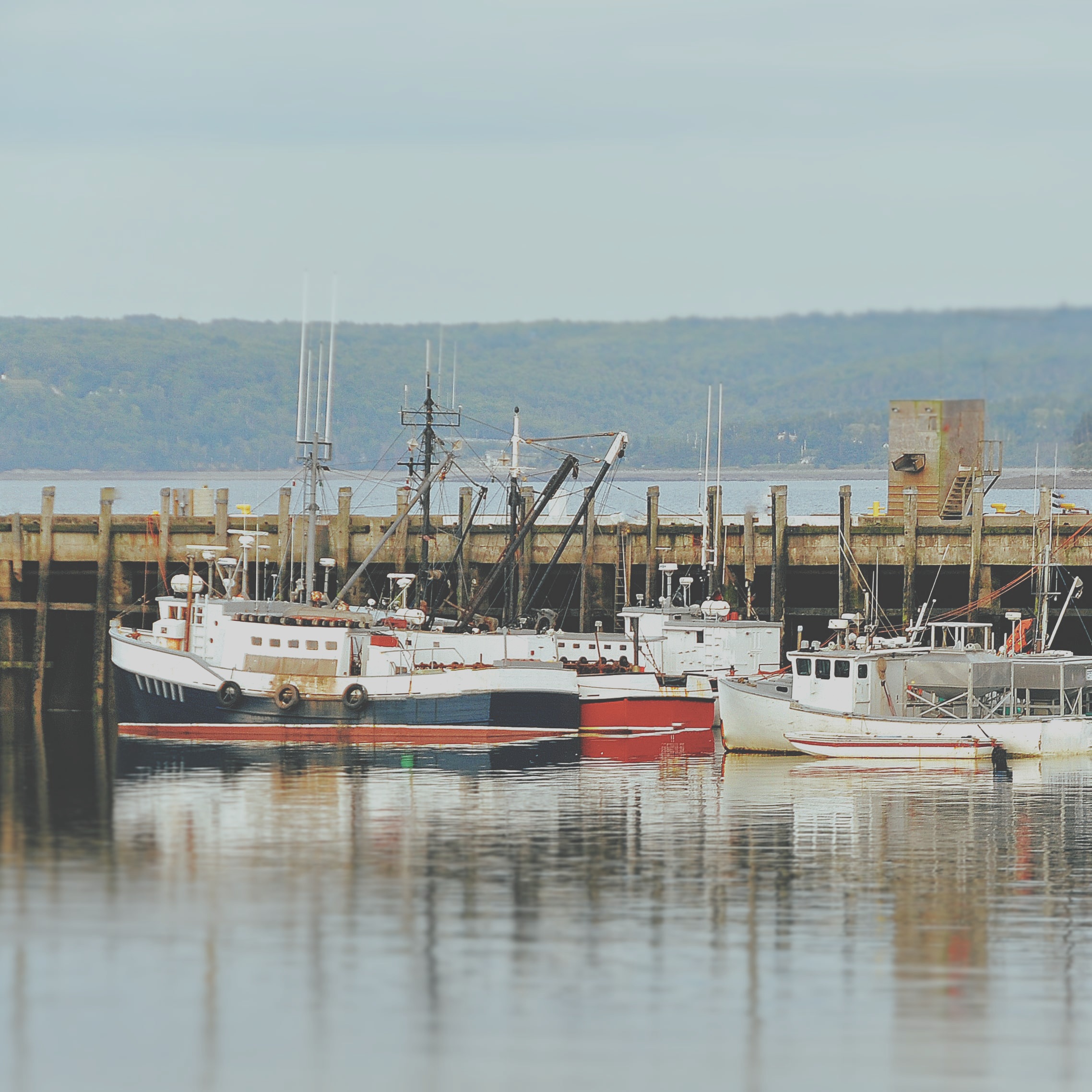 docks.jpg